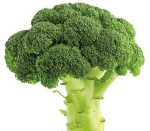 Broccoli