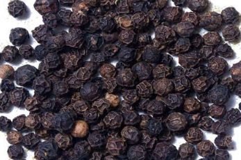 Black pepper