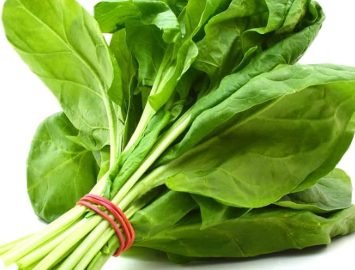 Fresh spinach