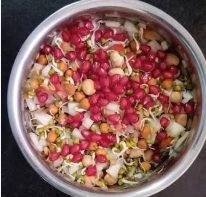 Mixed sprouts – ½ cup