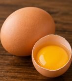 Egg – 1