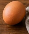 Egg – 1