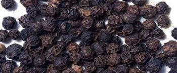 Black Pepper