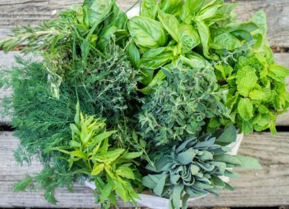 Fresh herbs