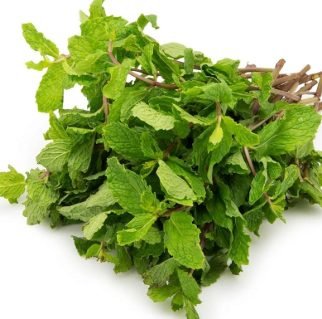 Fresh mint leaves