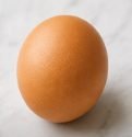 Egg – 1