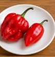Pepper – 1–2