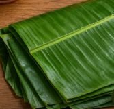 Banana leaves – for wrapping