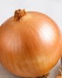 onion