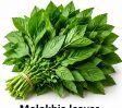 Molokhia leaves – 300 g