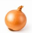 Onion – 1