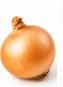 Onion – 1