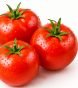 Tomato – 1