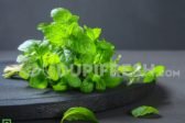 ½ cup fresh mint leaves