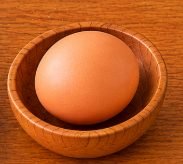 Egg – 1