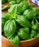 Fresh basil – 50 g