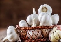 Garlic