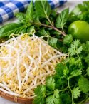 Bean sprouts, fresh herbs