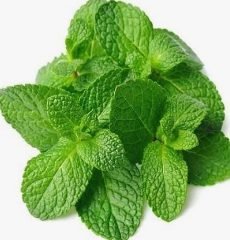 10–12 fresh mint leaves
