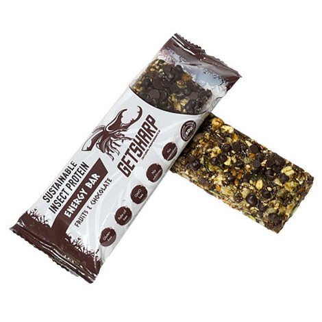 Mealworm Energy Bars