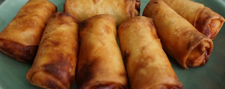 Schezwan vegetable spring rolls