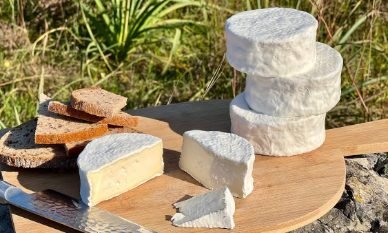 Camembert Cheese Recipe | Creamy French Soft-Ripened Cheese
