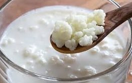 Kefir (Caucasus Mountains)